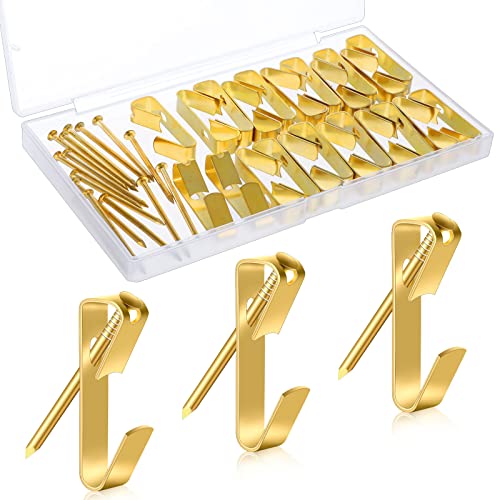 50Pcs Picture Hanging Kit 100Lb Metal Picture Hangers Professional Picture Hanging Hooks With Nails For Picture Frame Mirror Wall Painting Portraits Hanging Decoration #TOP30