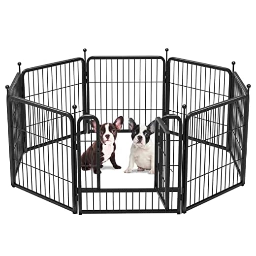 FXW Rollick Dog Playpen, 24" Height for Puppies/Small Dogs, Designed for Camping, Yard, 8 Panels