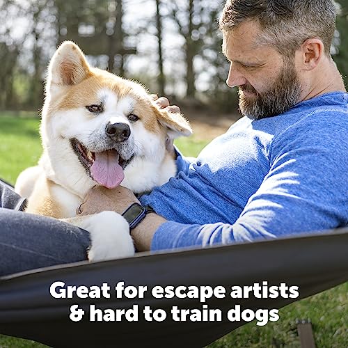 PetSafe Stubborn Dog In-Ground Pet Fence for Hard-to-Train Pets - Great for Hearing-Impaired Dogs - Covers 1/3-Acre Yard - Expandable up to 25 Acres - from the Parent Company of Invisible Fence Brand by PetSafe - Image 5