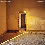  Steel / Wood & Air [Vinilo]