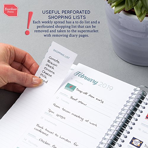 Boxclever Press 2019 Life Book con copertina in