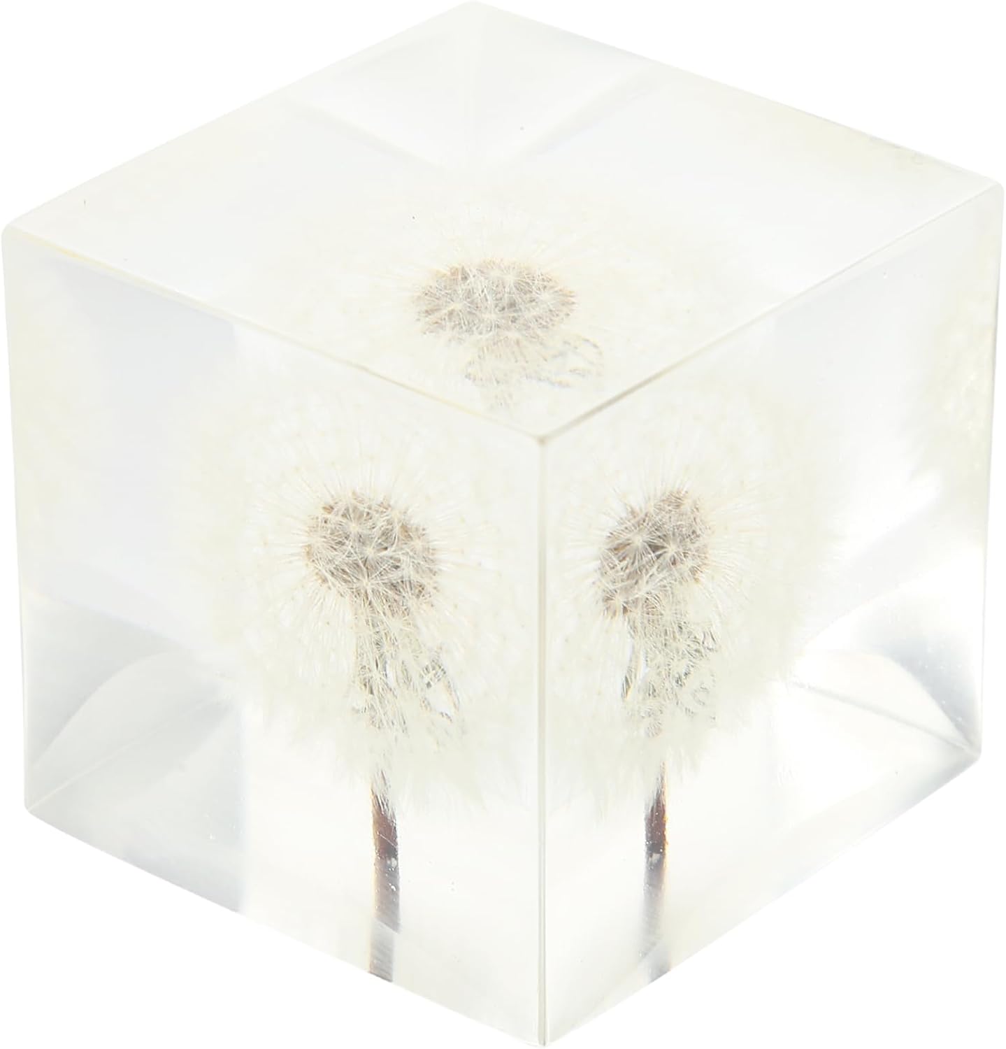 Dandelion Crystal Ball Ornament for Home and Office Decor Unique Transparent Cube Craft All Occasions Desktop Decoration for Nature Lovers