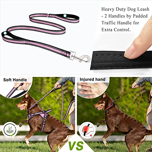 Winsee Step In Dog Harness Collar And Leash Set, All-In-One Reflective No Escape Dog Harness With Adjustable Buckles For Pet Puppies, Small, Medium, Large, And Extra-Large Dogs #TOP3