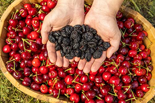 10 Cherry100 Raspberry 100 Red & White Strawberry And 100 Elderberry Seeds For Planting - Non-Gmo Fruit Seeds For Home Garden #TOP6