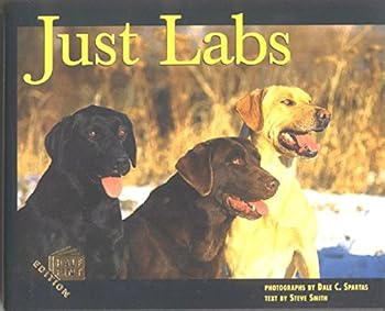 Hardcover Just Labs: Half-Pint Edition (Just Pets) by Steve Smith (1999-04-02) Book