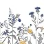 05blue Yellow