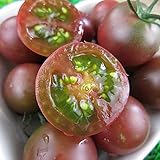 🌱 Tomate Japonés Negro 10 Semillas