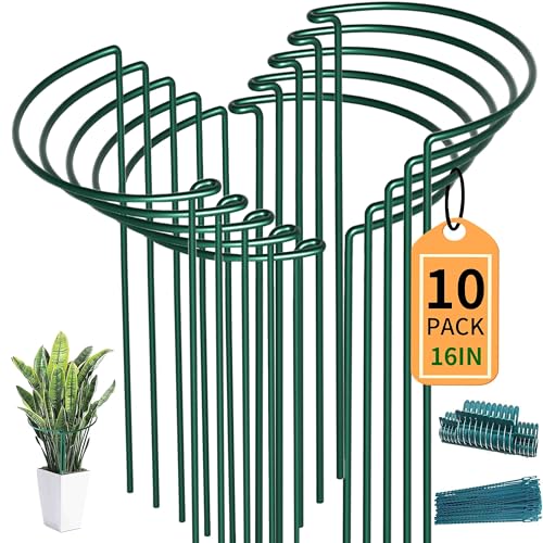 TCBWFY 10 Pack Plant Support Stakes for Peony,10' Widex16 High Heavy Duty Peony Cages and...
