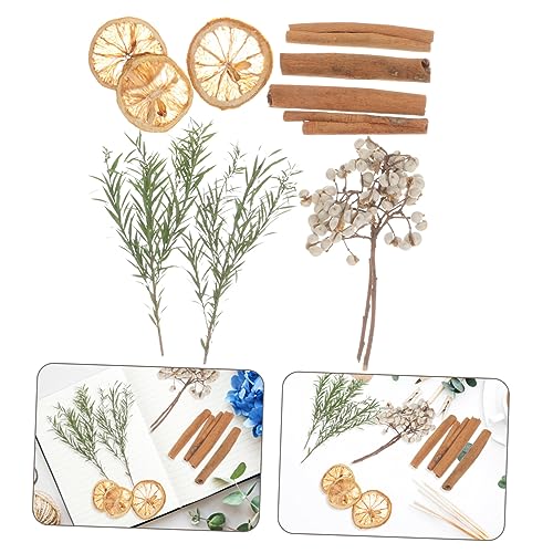 Material de Flores Secas para Manualidades y Decoración miniatura 7