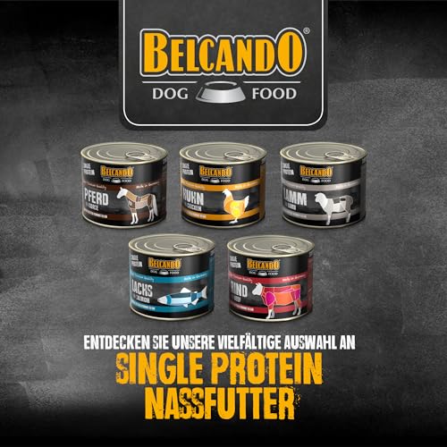BELCANDO Single Protein Nassfutter für Hunde, Pferd, 6X 200g Dose, sortenreines Hundefutter nass, für alle Rassen, Made in Germany
