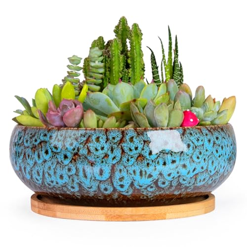 ARTKETTY Succulent Pots - 20 CM Large Succulent Planters Ceramic Bonsai Pot with Drainage Tray for Indoor Plants Garden Decorative Cactus Flower Plant Container Bowl