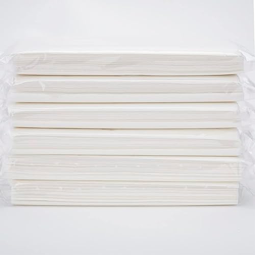 Cartisen Recambios de pañuelos de automóvil, recambios de servilletas faciales para soporte de pañuelos de visera de automóvil, 300 hojas, 6