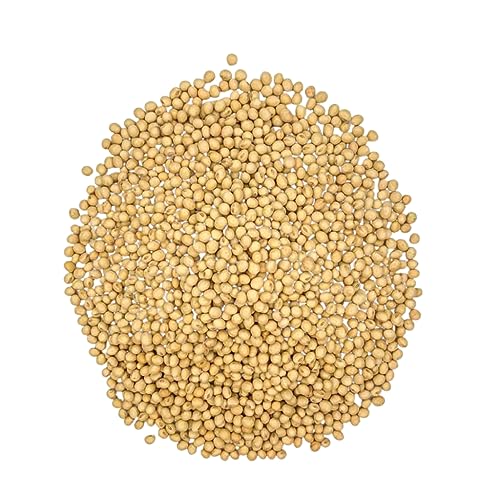 Soja em Grãos 1Kg