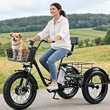 Triciclo elettrico per adulti, bici elettrica a 3 ruote con pneumatici larghi da 20", adatta a tutti i terreni.