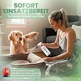 KRAFTKÖNIG Flohspray für Wohnung und Möbel 500 ml – Hochwirksames Umgebungsspray für Hunde & Katzen – sofort einsatzbereit mit Langzeitschutz gegen Flöhe, Made in Germany