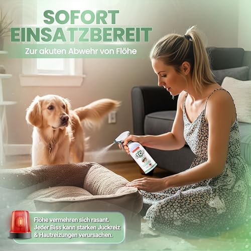 KRAFTKÖNIG Flohspray für Wohnung und Möbel 500 ml – Hochwirksames Umgebungsspray für Hunde & Katzen – sofort einsatzbereit mit Langzeitschutz gegen Flöhe, Made in Germany