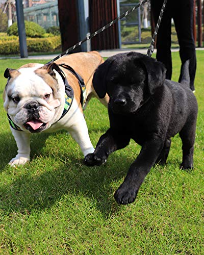 Taglory Double Dog Leash, Reflective Dual Dog Leash, 360 Swivel No Tangle Walking Double Leash For Puppy Small Dogs, Black #TOP1