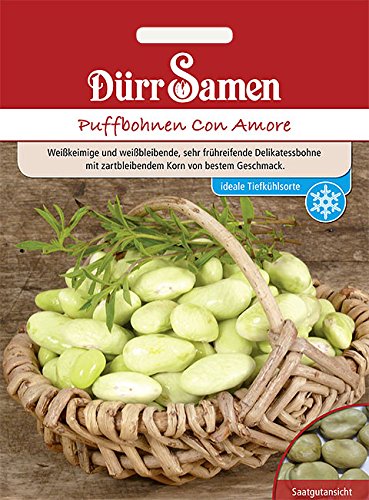 Puffbohnen Samen Dreifache Weiße Bohnensamen Dicke Bohnen ca 35 Korn Saatgut Garten Hochbeet Gemüse Saat Dürr Samen Cover