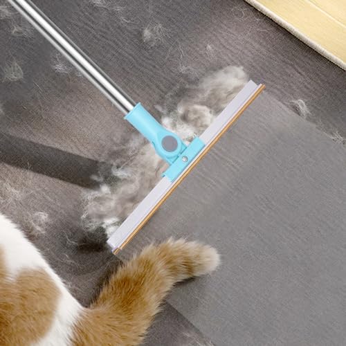 Best Type Of Carpet For Cats With Claws 2024 Vet Ranch We Love Pets