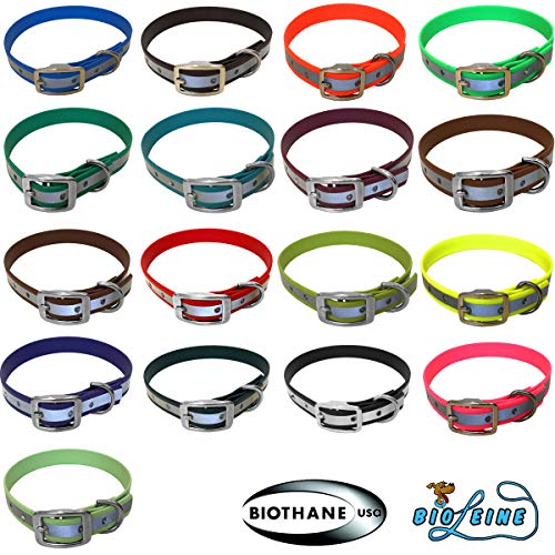 bio-leine Hundehalsband personalisiert aus Biothane – Halsband für kleine und große Hunde I Hundehalsbänder in vielen Größen und Farben