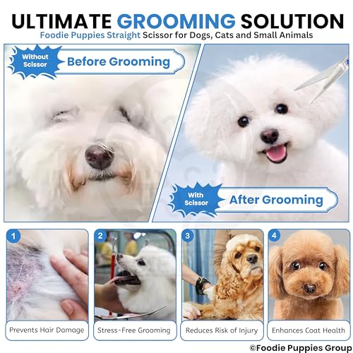 Image of Foodie Puppies Professional Straight (Silver) Dog Grooming Scissors - Stainless Steel Pet Hair Cutting Shears with Finger Rest & Ergonomic Grip for Dogs & Cats, Precision Trimming Home Use Kit