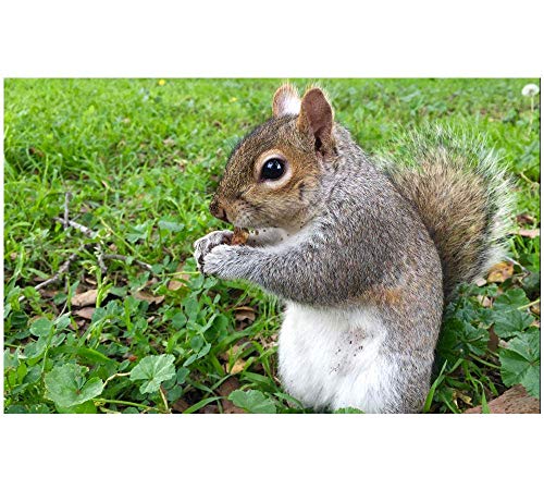 Preisvergleich Produktbild Jeffrey Toynbee Card Chips On Gambling Table Jugend-Sonnenbrillenetui Mädchen-Brillenetui Leichte, tragbare Sonnenbrille mit Neopren-Reißverschluss und weicher Schutzhülle