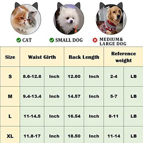 2 Pieces Dog Diaper With Suspender Washable Sanitary Pantie Reusable Puppy Sanitary Pants Cute Pet Underwear Diapers Jumpsuits For Small Female Dogs Girl In Heat Period (S-Waist 8.6-12.6In (3-4Lb)) #TOP4
