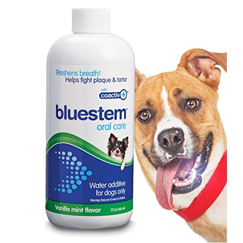 Pet Water Additive Oral Care: for Dogs Only Bad Breath, Dental Rinse Freshener Treats Plaque & Teeth Tartar Remover. Dog Mouth Hygiene Clean Health Treatment for Pets Drinking Bowl (Mint)