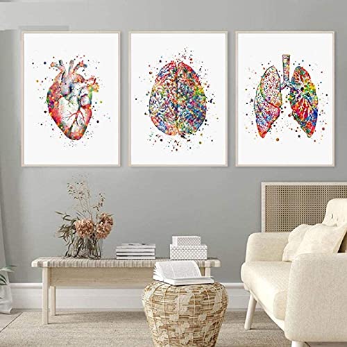 JIERUIFBH Cuadros de lienzo Acuarela Anatomía Arte Clínica Decoración Médico Corazón Cerebro Pulmones Impresión Doctor Oficina Decoración Med Estudiante Regalo 3 piezas 40x60cm sin marco