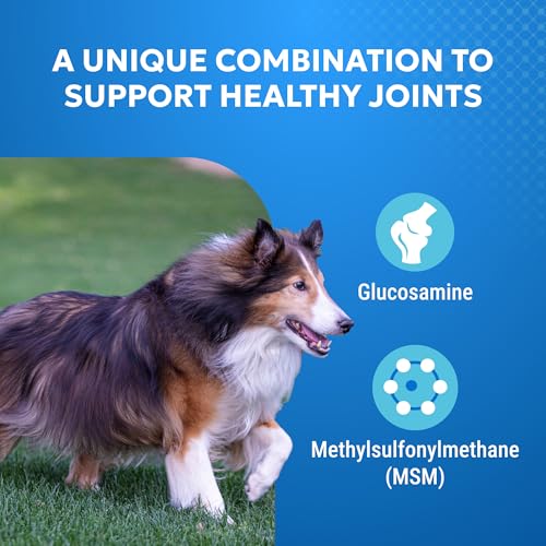 Nutramax Cosequin Elements Dogs Joint Health Supplement, Contains Glucosamine for Dogs, MSM, Supports Healthy Joints, for All Breeds and Sizes, Chewable Tablets, 75 Count (Pack of 2) - image 4