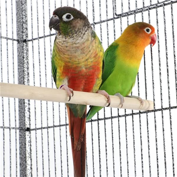 Abician Cage à Oiseaux Grande Cage pour perroquets 63'' avec Support pour Extérieur Intérieur 81 x 47 x 160 cm