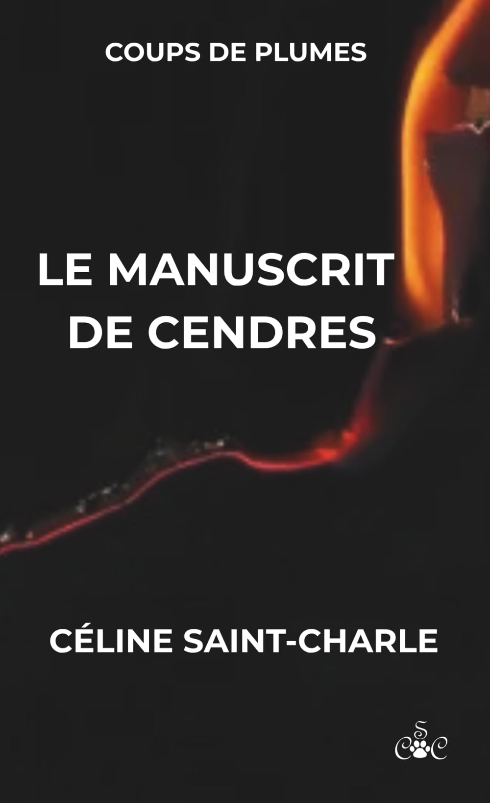 Le manuscrit de cendres
