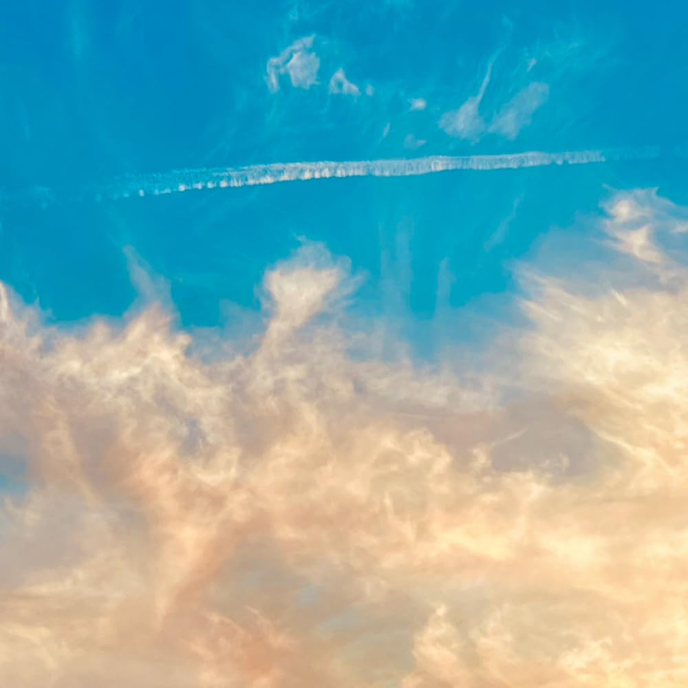 Amazon.co.jp: Its The End Of The World But Its A Beautiful Day