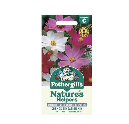 Image of Fothergill's Cosmos Sensation Mixed Flower Seeds, 200 Seeds, Sow: Feb-May, Pink/White