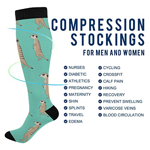 Image of Fisyme Socks for Women Men Warm Comfort Athletic Crew Running Hiking Cycling Compression Socks