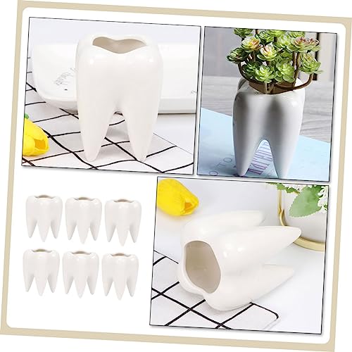 Pots de fleurs céramique dents contenant mini cactus et succulente pour maison - 6