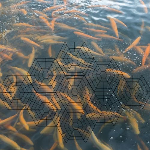 Protector hexagonal de peces modular con ganchos para cobertura flotante 4