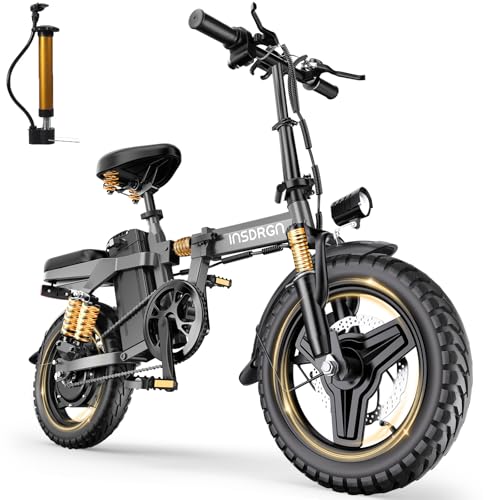 INSDRGN 14 inch 1500W Peak E-Bike
