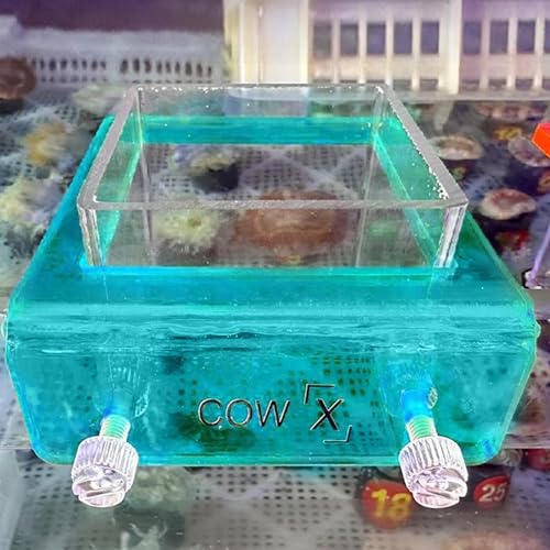 Comedero flotante para peces con diseño estable antidispersión de comida 4