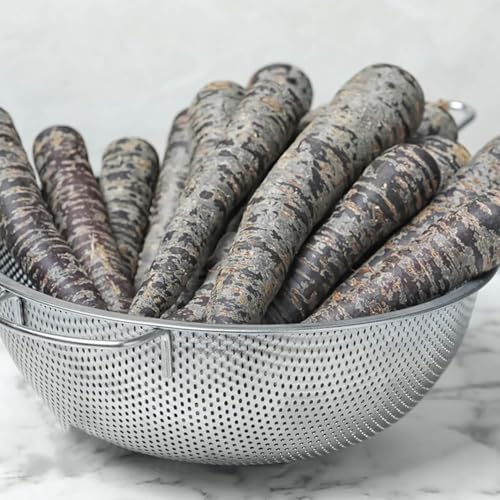 semi di carota balcone - giardino tappezzanti da appartamento esotiche roccioso da resistenti biologici 300pcs