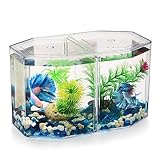 -[materiale acrilico] lacquario betta è realizzato in materiale acrilico, che è trasparente come il vetro e ha una visione chiara, ma è resistente agli urti e non facile rompere.