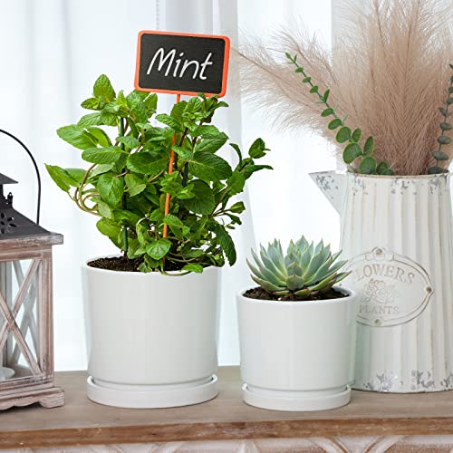 Whonline Ceramic Plant Pots 3 Pack, 4/5.5/6.7 Inch White Planters With Drainage Hole And Saucer Indoor Flower Pot Gifts For Mom #TOP4