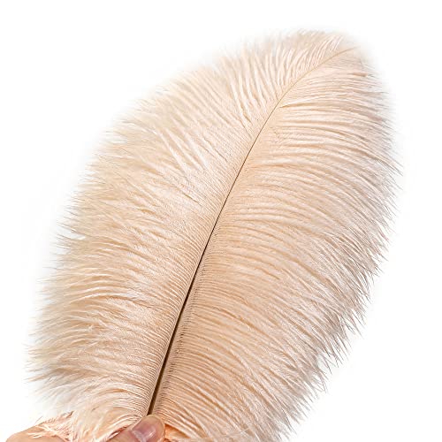 image for Ballinger Light Salmon Ostrich Feathers - 24pcs 10-12inch Feathers for