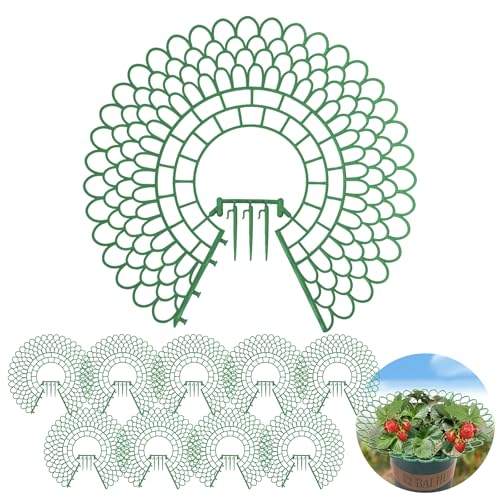 TIHOOK - TIHOOK Lot de 10 supports pour fraises, étagère amovible, pour protéger les fraises, les fraises de la poussière et des escargots