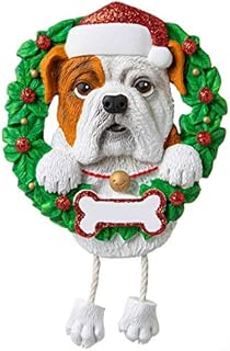 corgi subscription box