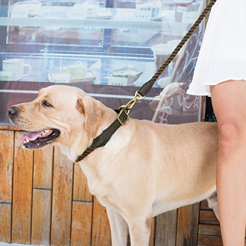 Dogness Cotton Rope Dog Collar, With Adjustable Soft Leather Strap, Brown, 11 – 20” For Small Medium Dogs, Matching Leash Sold Separately #TOP5