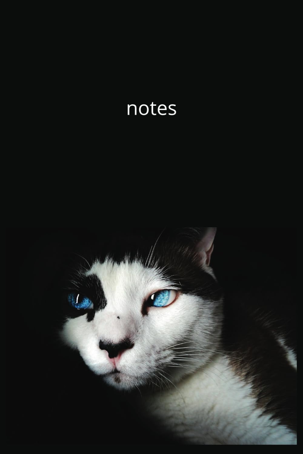 Independently published Mystic Cat Dreams: 125 - Page Lined Journal for Note Taking