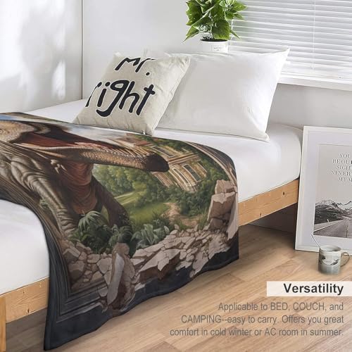 Manta de franela de dinosaurios para cama o sofá en noches frías 7