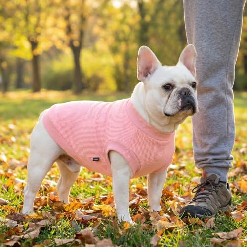 Image of 1 Pack Dog Shirt for Small Supplies Functional Waffle Dog Clothes Warm Soft Sweatshirt Outfit for Dogs Cats Pet Apparel