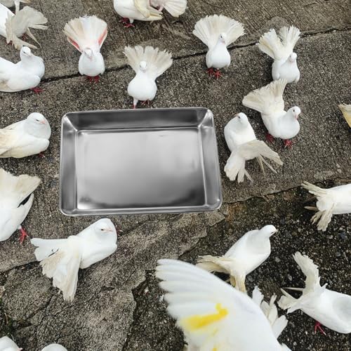 Bañera para periquitos pequeños y pájaros con acero inoxidable sin olor 6